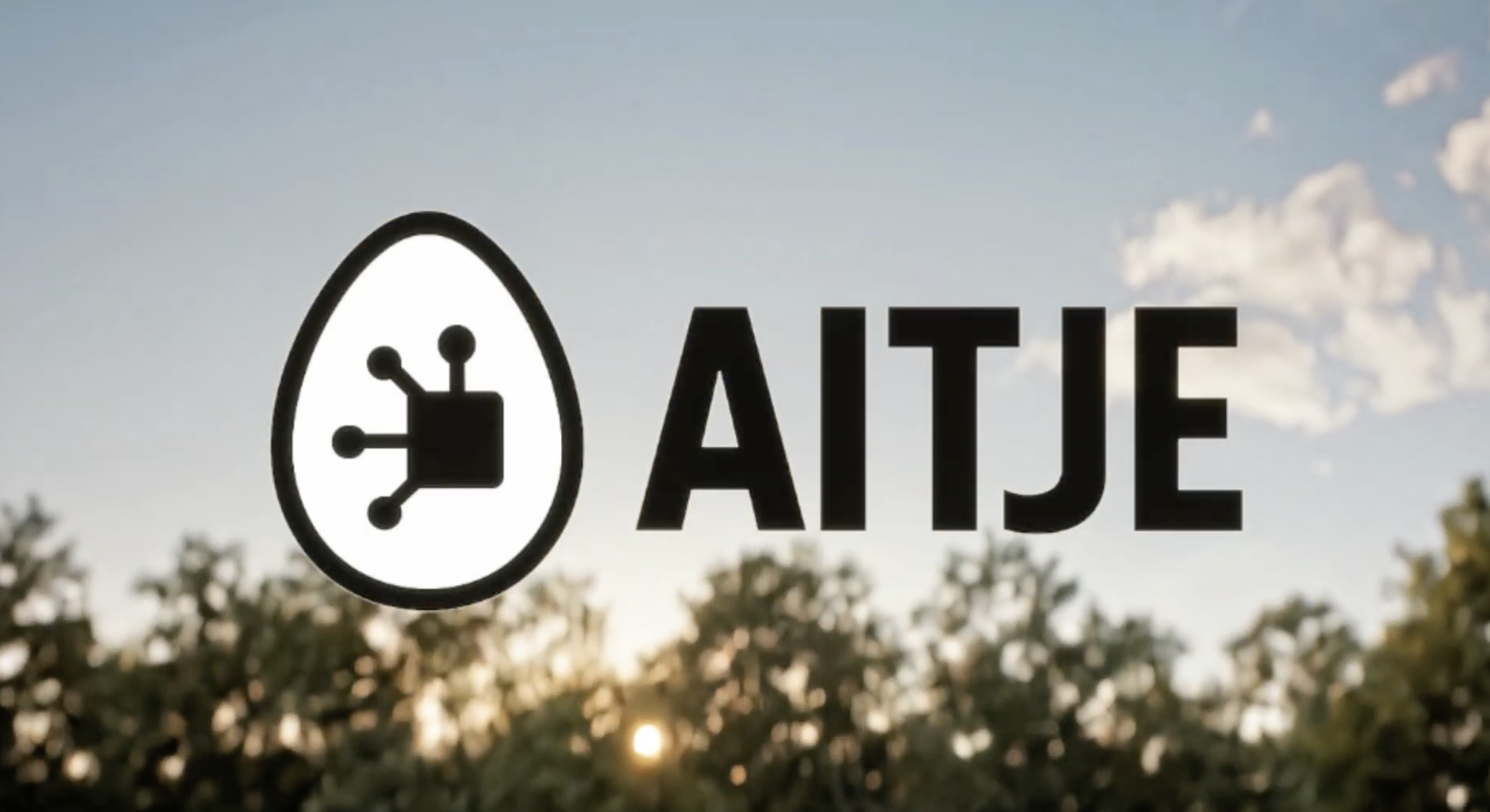 AITJE dienstverlening