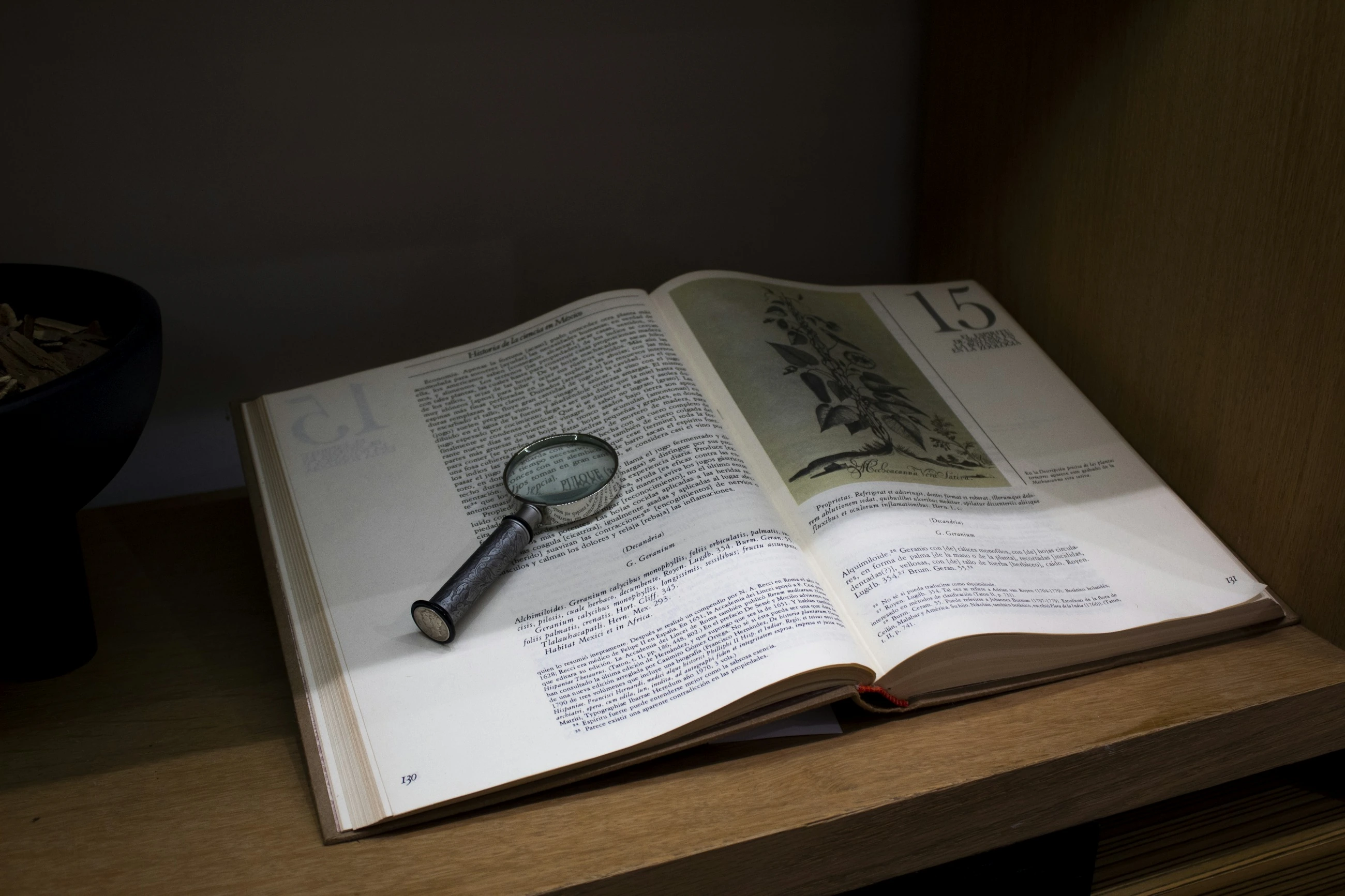 Een vergrootglas op een open boek voor het controleren van informatie.